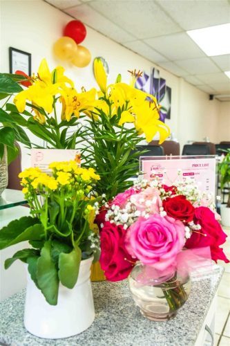 Elite Nails Salon Interior